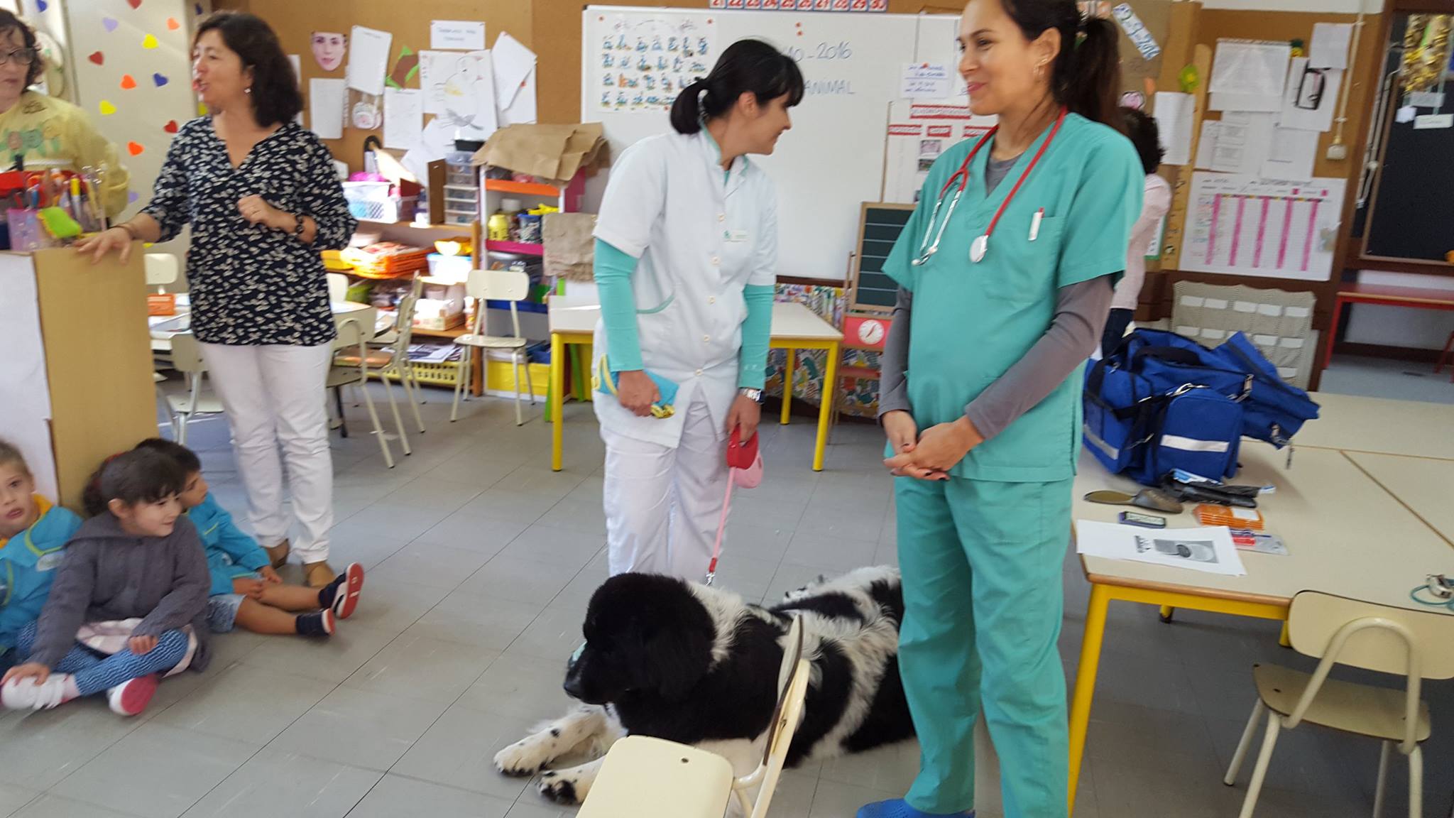 Dia do Animal Pets Best.jpg