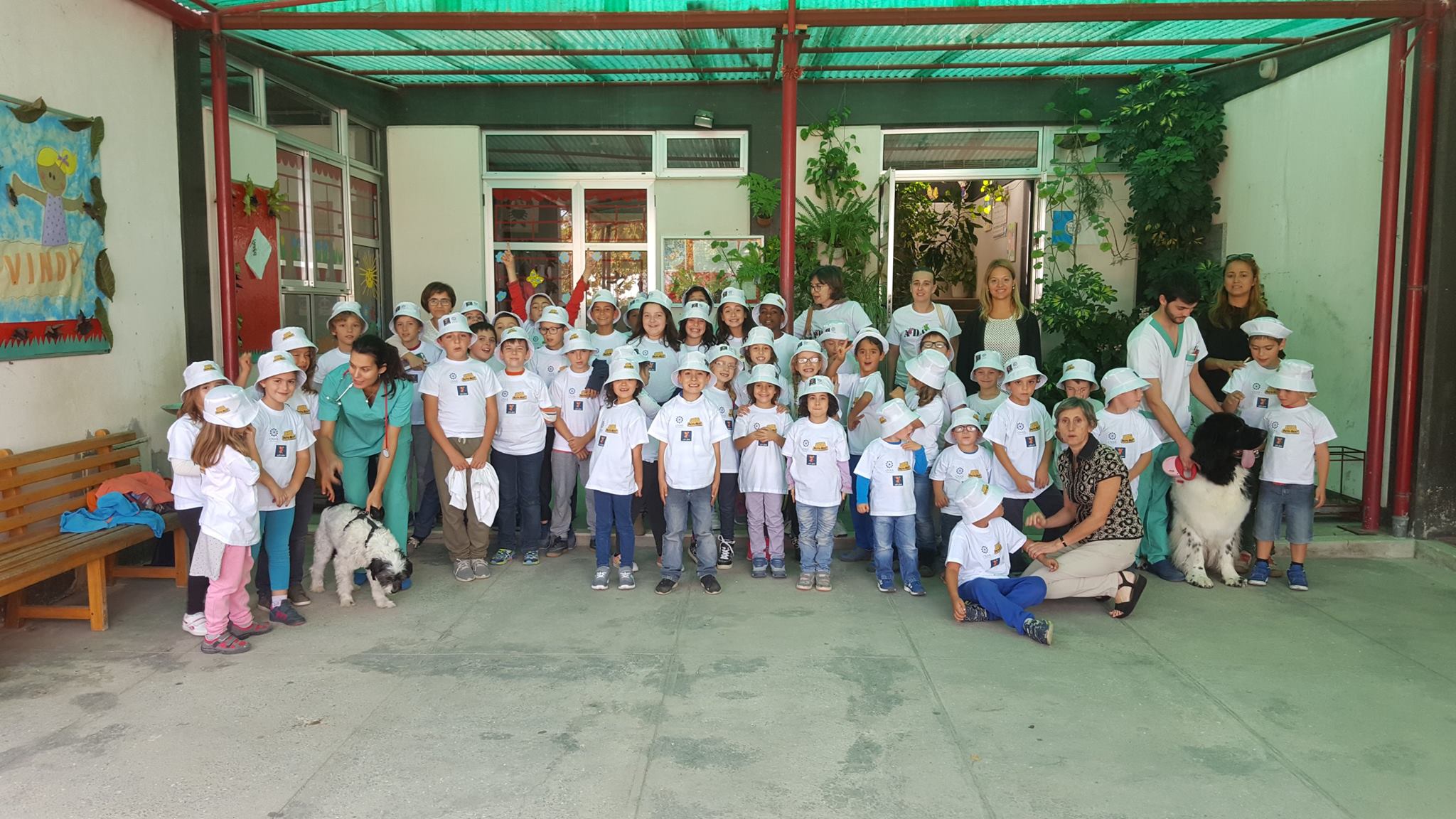 SORGAL e C.M.OVAR em parceria no dia do Animal 