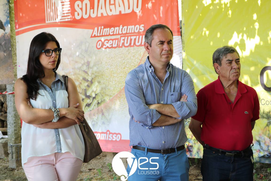 Sojagado em concurso pecuário.jpg