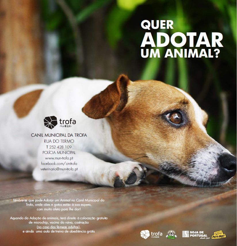 SOJA DE PORTUGAL e SORGAL PET FOOD apoiam campanha de adoção responsável