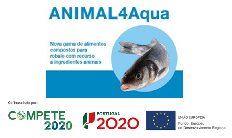 SORGAL promotor-líder de projeto IeDT com duração de 3 anos 