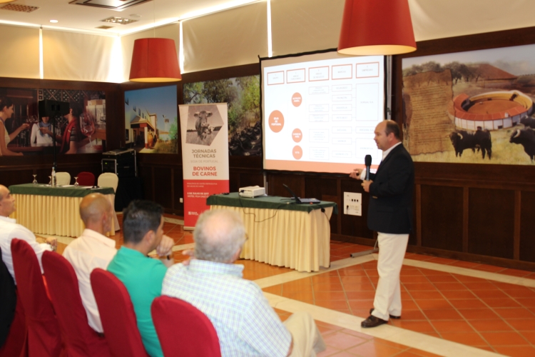 Jornadas Bovinos de Carne.jpg