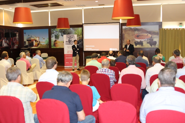 Jornadas Bovinos de Carne.jpg