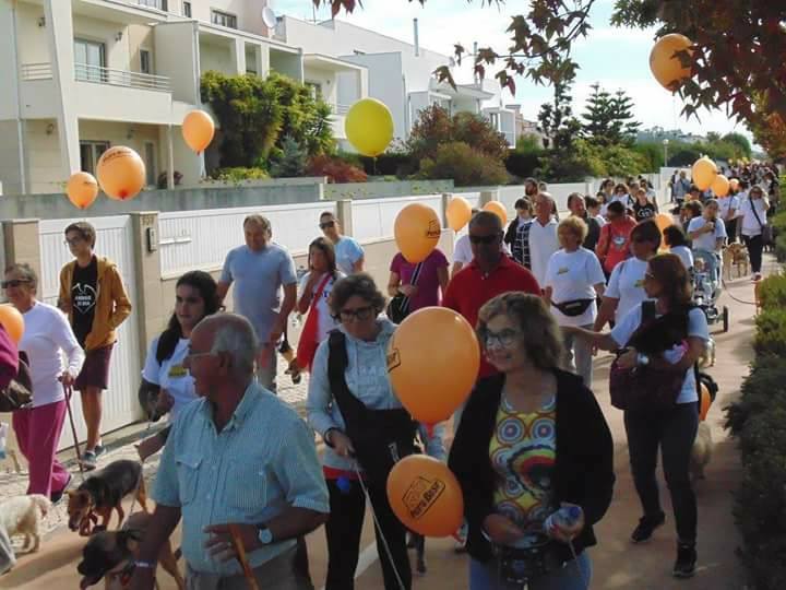 Cãominhada APADO com apoio Pets Best.jpg