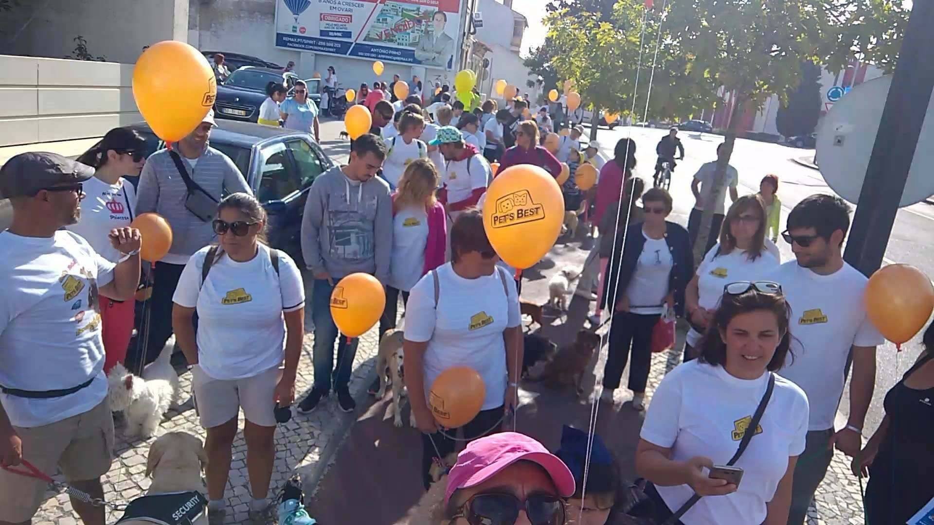 Cãominhada APADO com apoio Pets Best.jpg