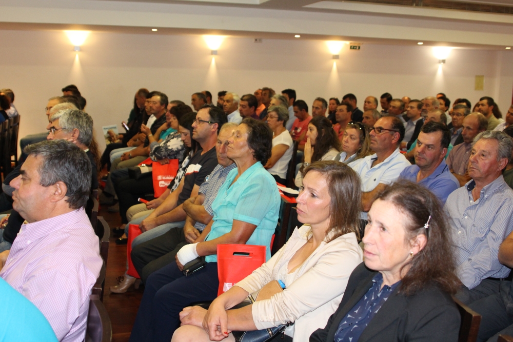 Jornadas Bovinos de Leite.JPG