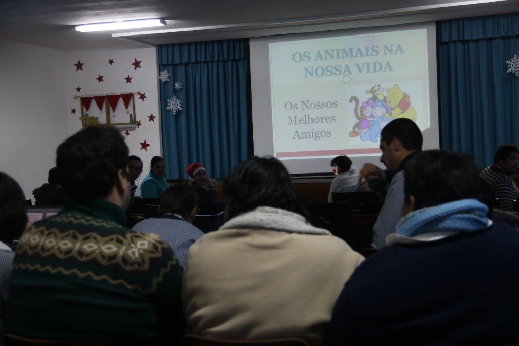 Pets Best apoia Cãovivio de Natal.jpg