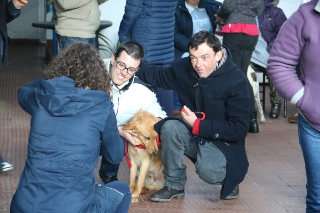 Pets Best apoia Cãovivio de Natal.jpg