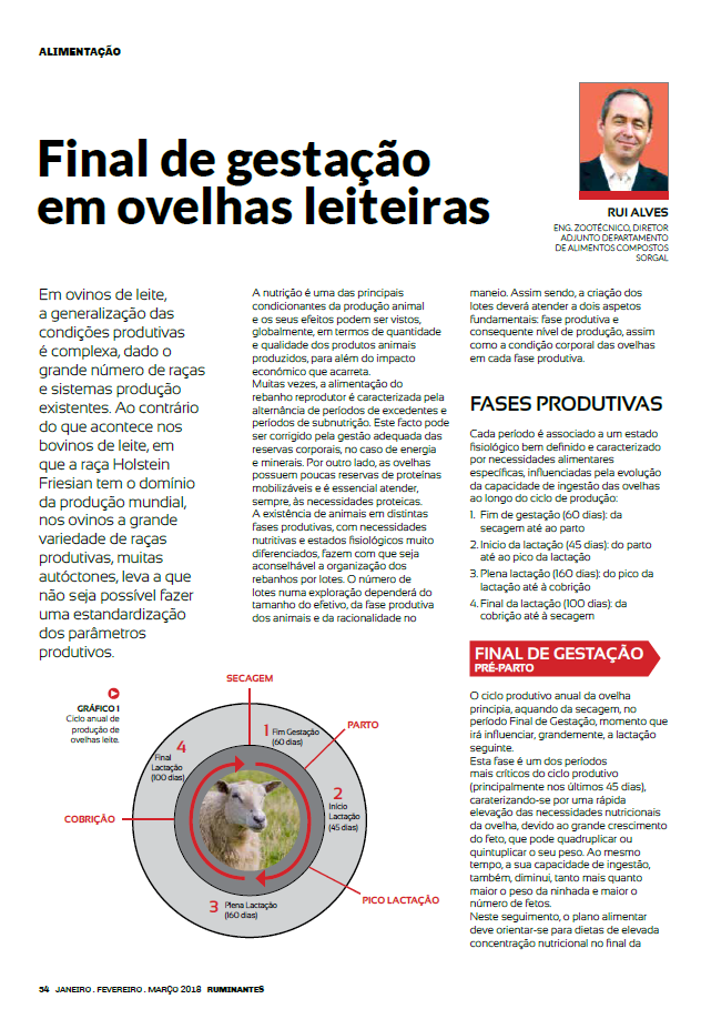 Revista Ruminantes