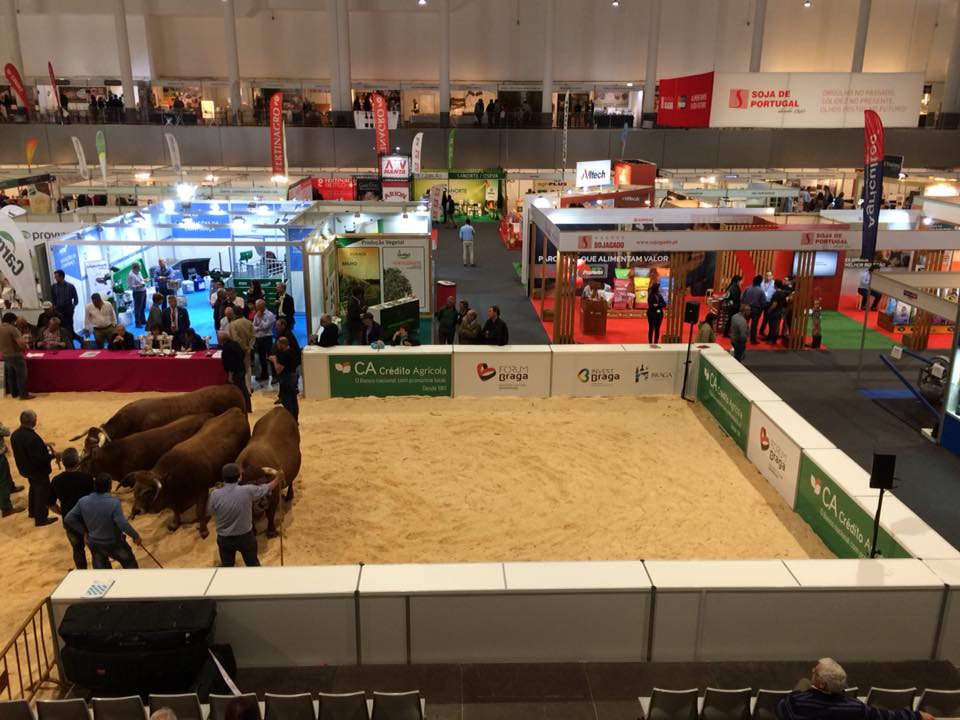 Sojagado, Pronutri e Pet's Best na Agrobraga.jpg