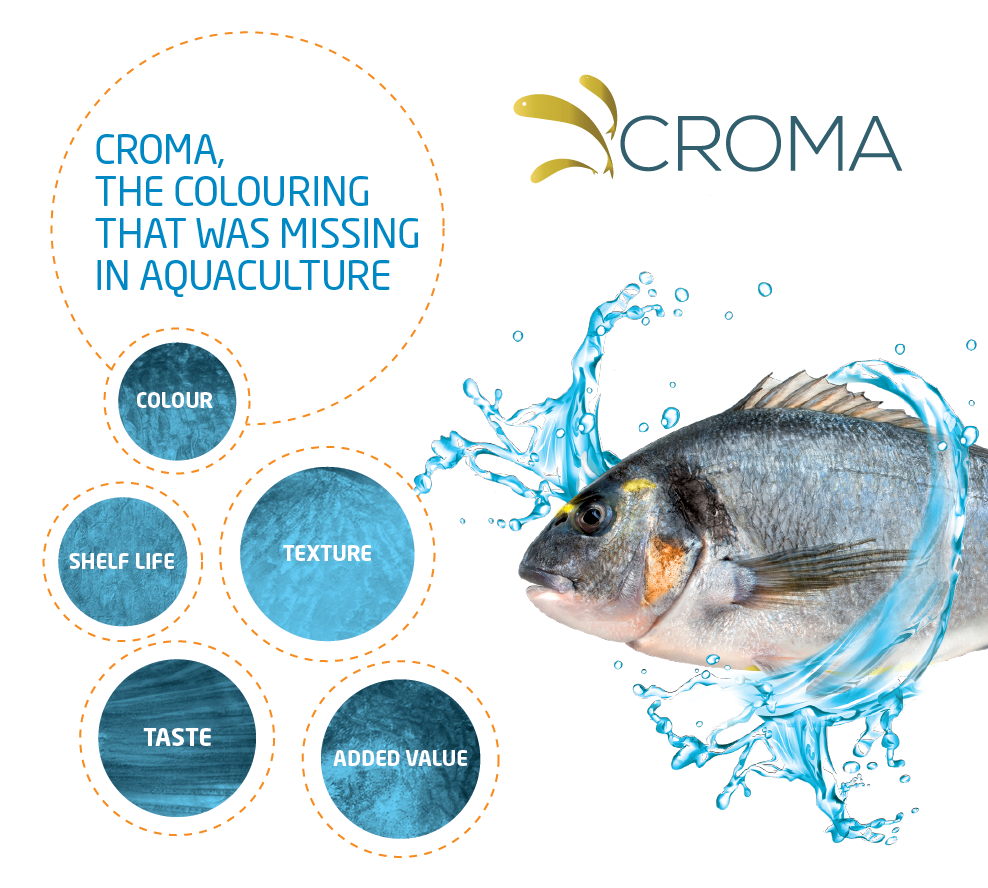 AQUASOJA lança dois produtos inovadores: Y+ e Croma