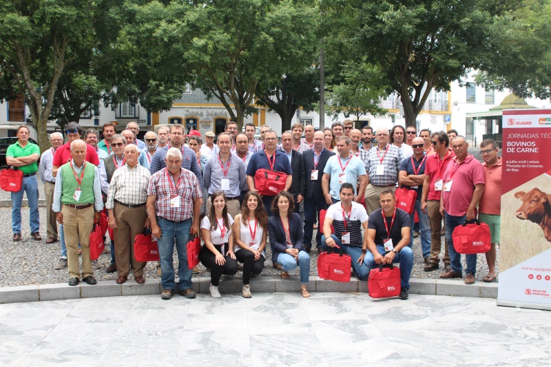 SOJAGADO e PRONUTRI organizam Jornadas Técnicas de Bovinos de Carne