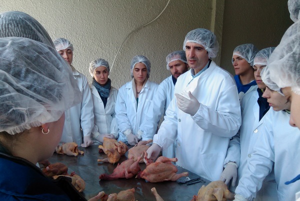 AVICASAL and ICBAS carry out a field course in Pathology