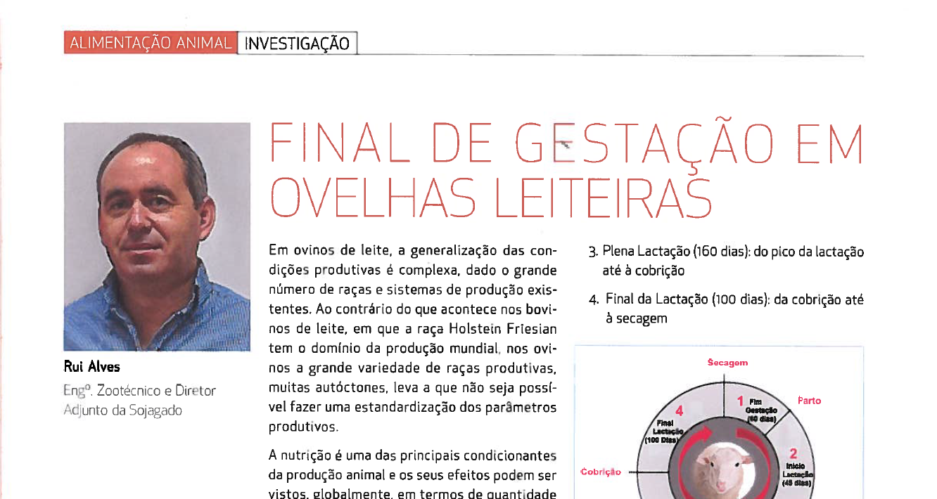 Alimentação Animal