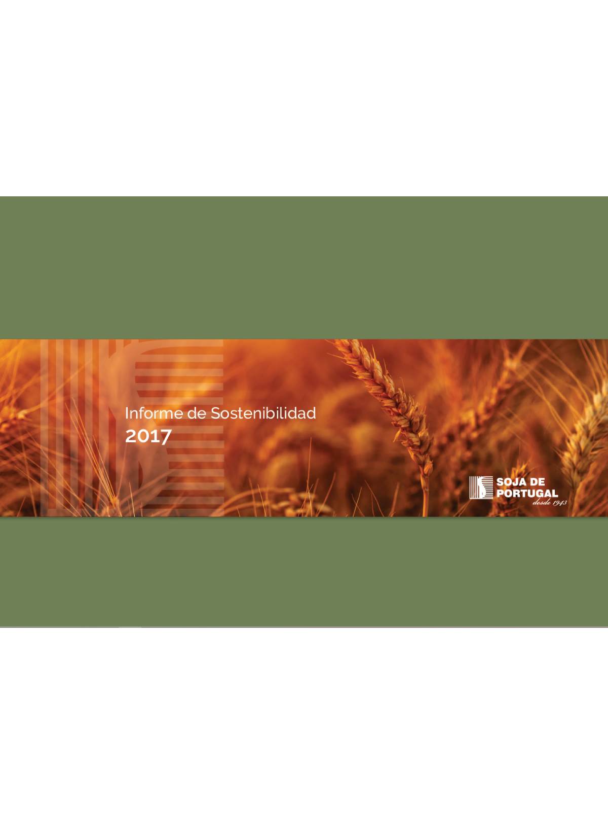 Informe de Sostenibilidad 2017