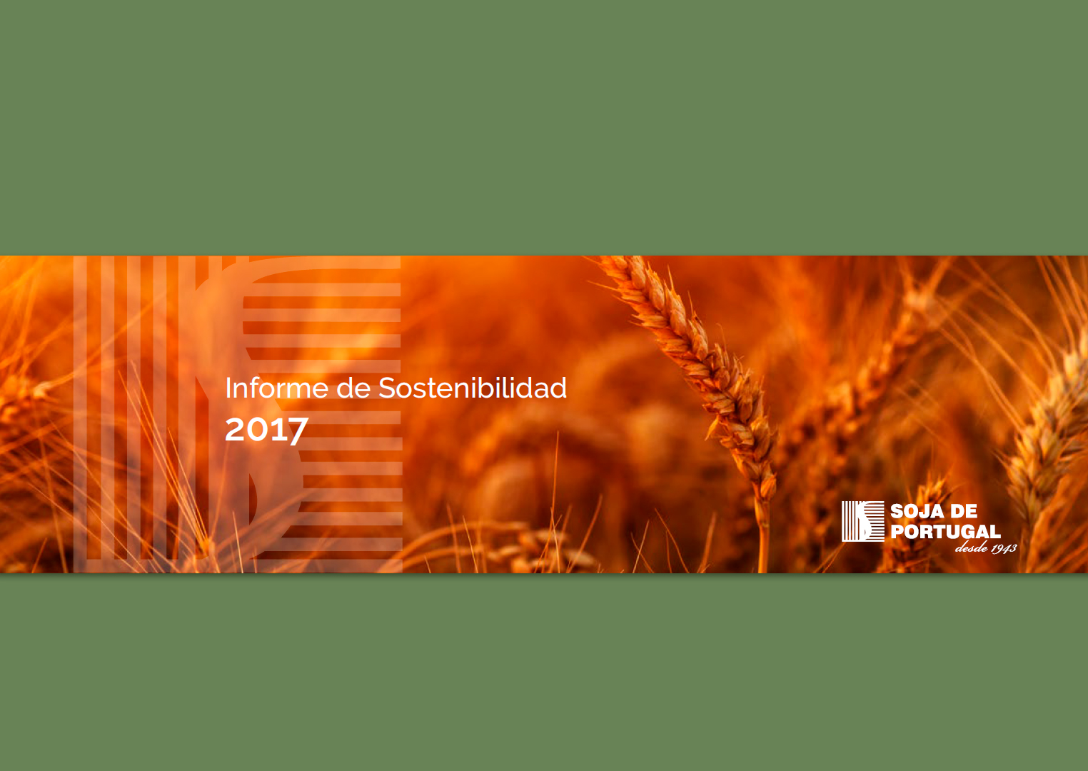 Informe de Sostenibilidad 2017