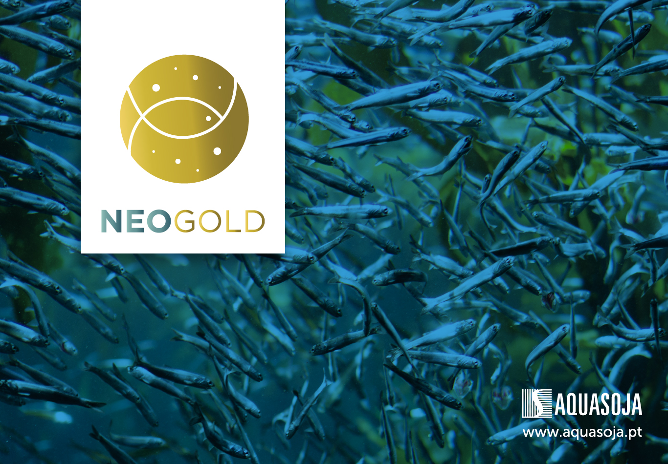 Aquasoja lança nova linha de produtos Neogold