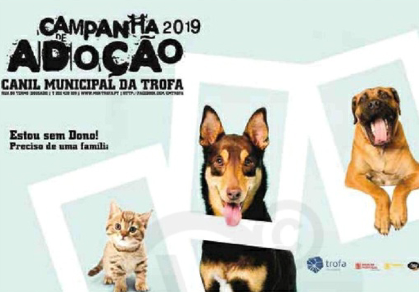 Sorgal Pet Food apoia Campanha de Adoção