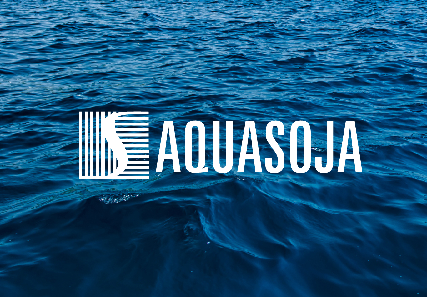 Aquasoja duplica negócios - Diário de Aveiro