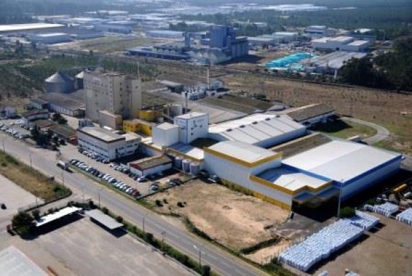  SORGAL enters the Ranking of the Most Profitable Companies