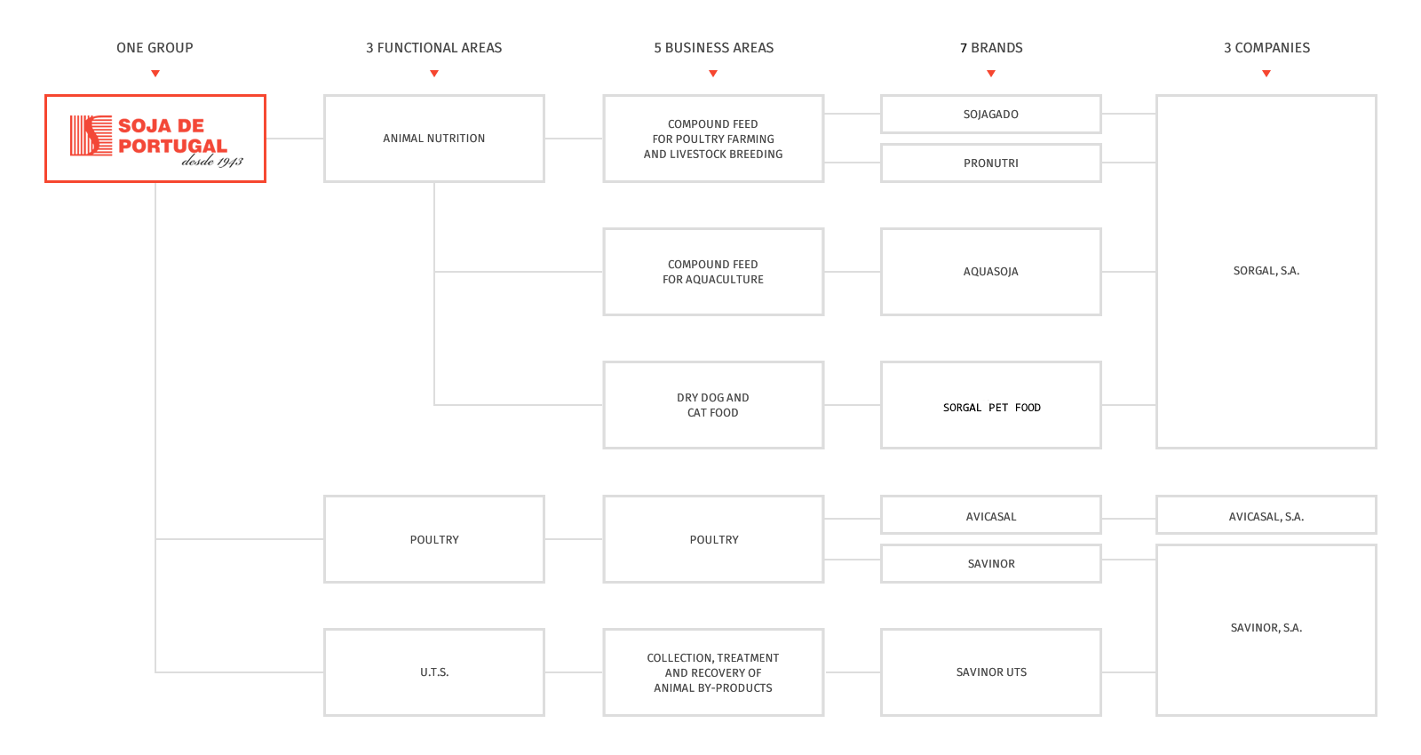 The universe SOJA DE PORTUGAL