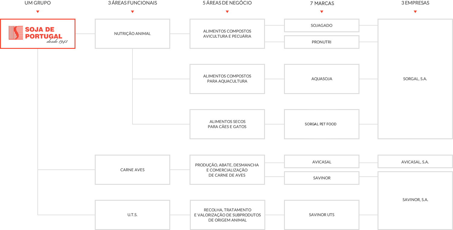 O universo SOJA DE PORTUGAL