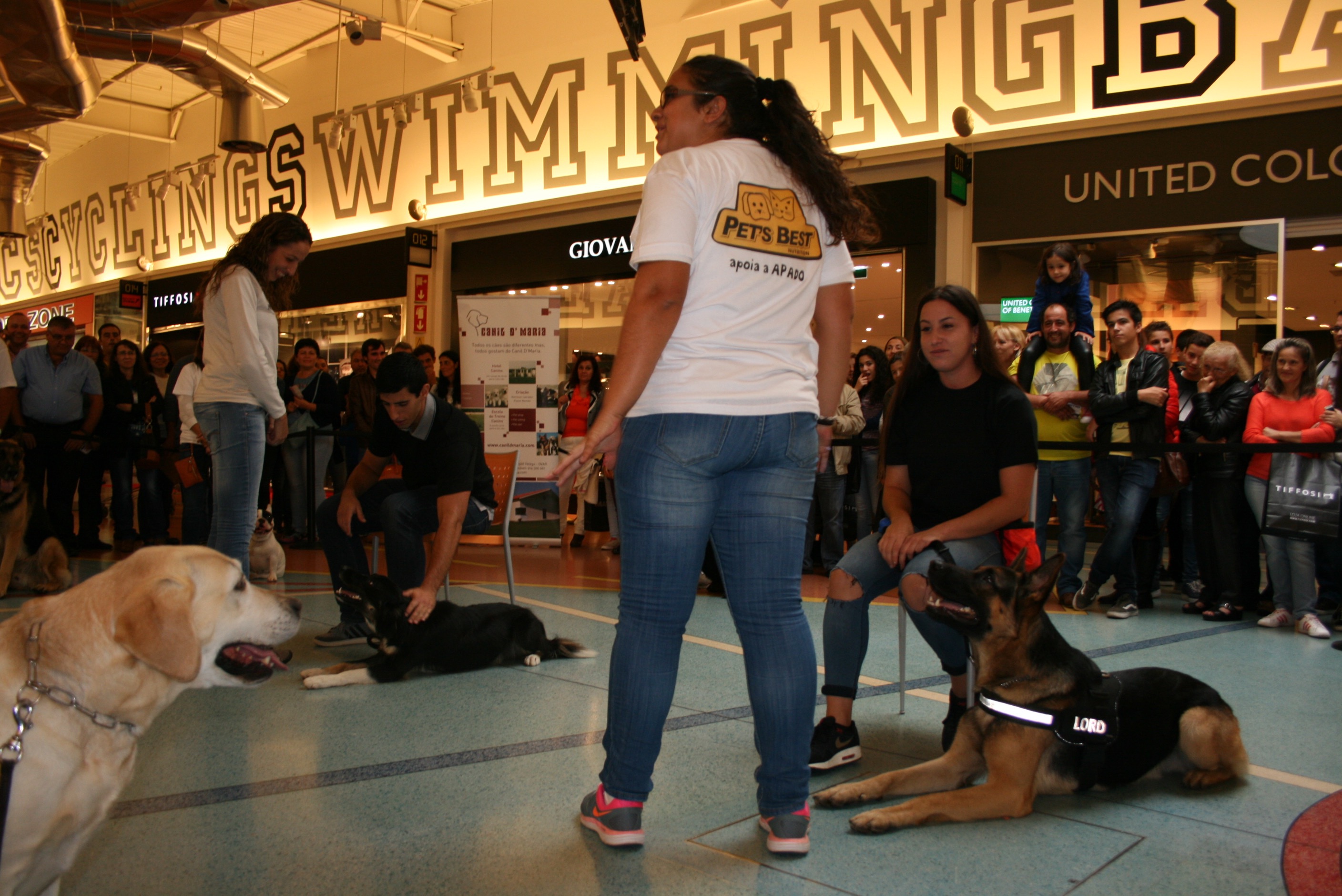 SORGAL PET FOOD alimenta o Dia do Animal