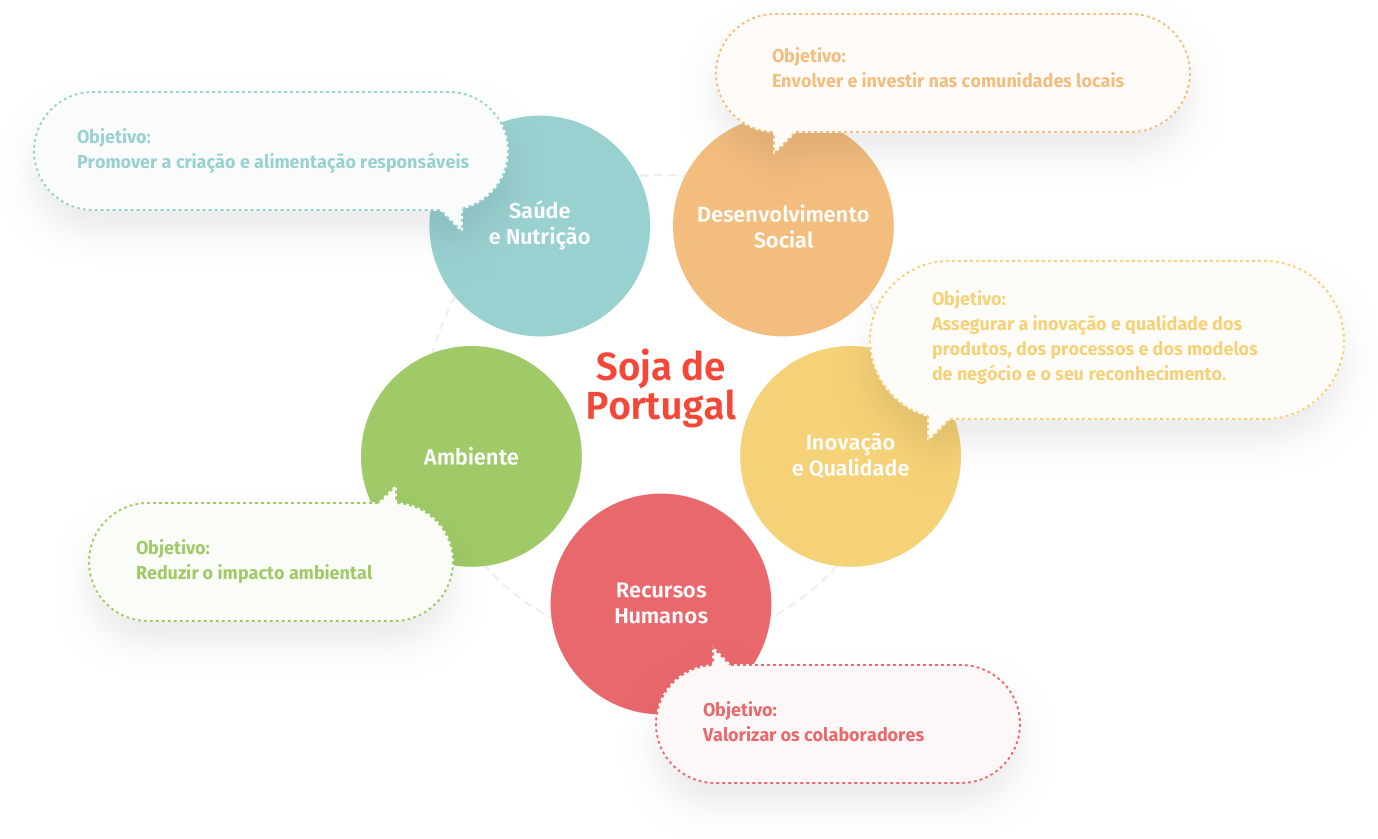 <p>Estrat&eacute;gia de Sustentabilidade da SOJA DE PORTUGAL</p>
