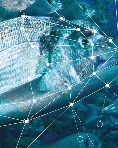 AQUASOJA participates in the X Edition of the Aquaculture Seminar