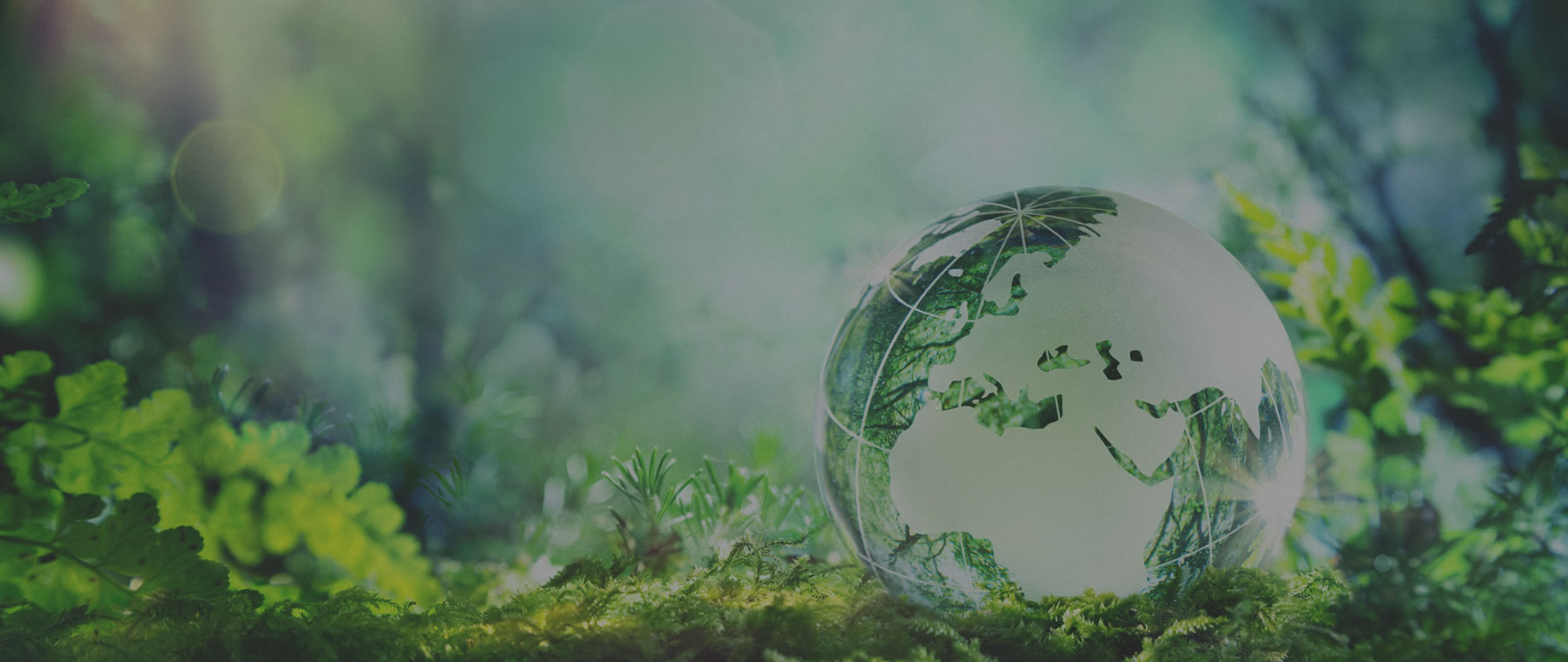 Sustainable Present,<br />
Valorized Future<br />