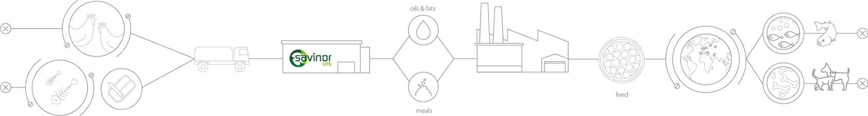 Our Sustainable Process