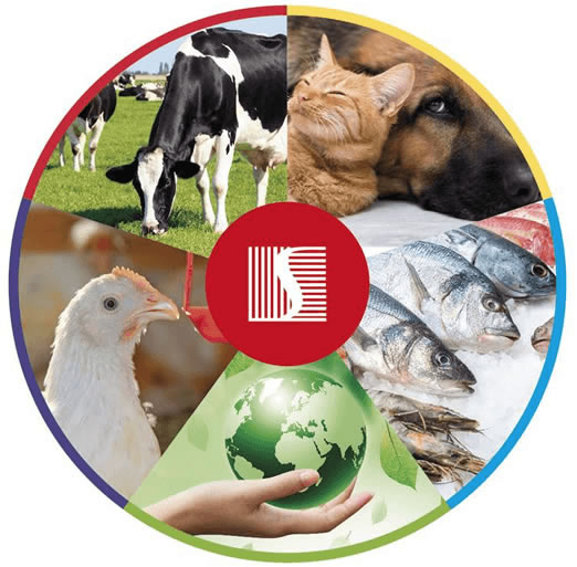 The experience of being integrated in a large group