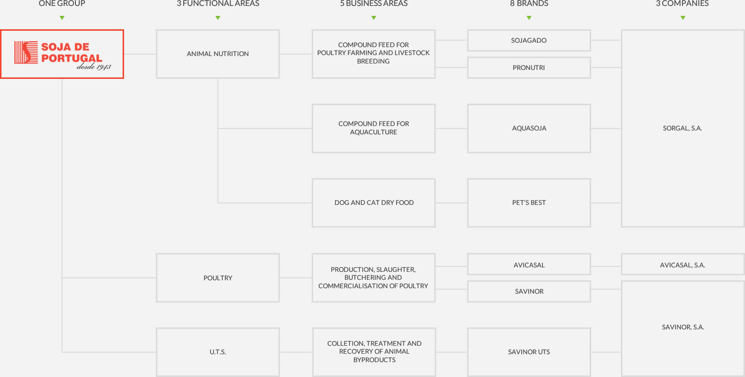 SOJA DE PORTUGAL Universe