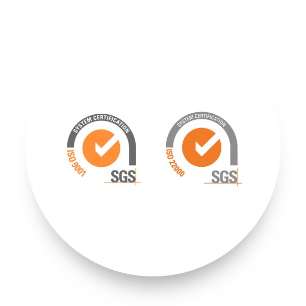 Certifica&ccedil;&atilde;o